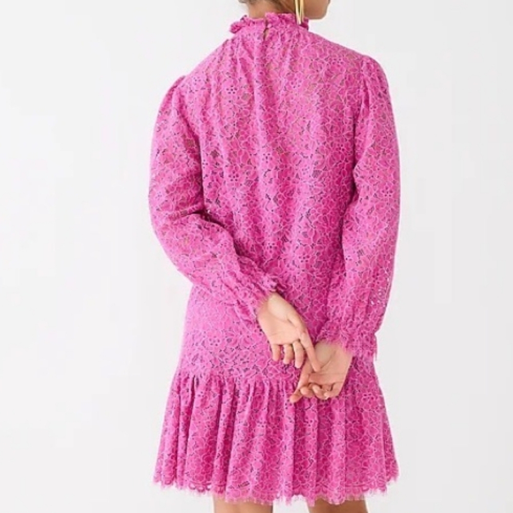 J. Crew Pink Lace Ruffle Neck Mini Dress Size Small - Picture 8 of 14
